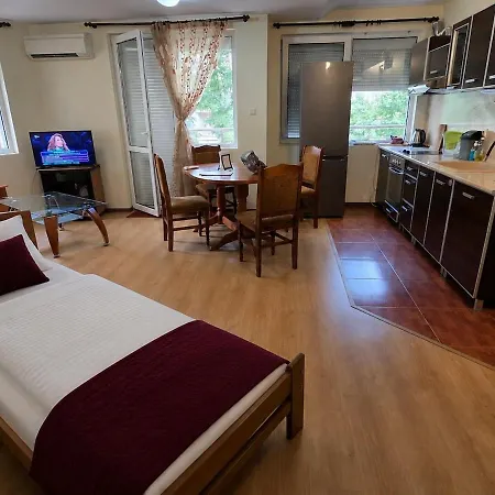 Apartament Elegant 1Br Central *