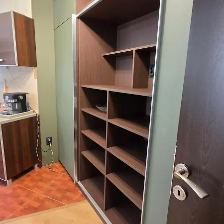 Elegant 1Br Central Apartament