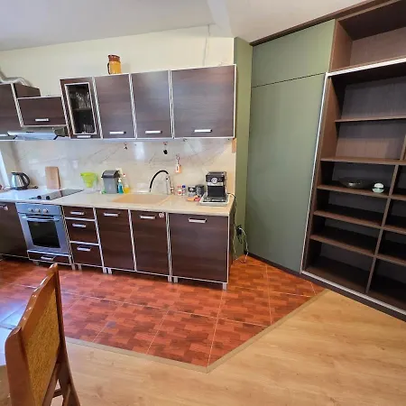 Apartament Elegant 1Br Central *
